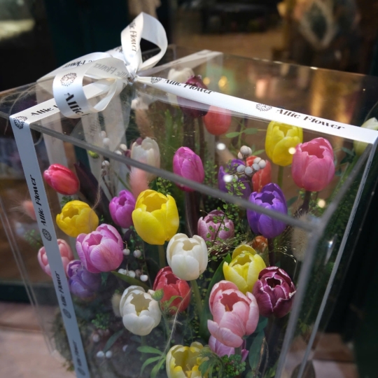 Hộp Hoa Tulip Thiết Kế - HH069