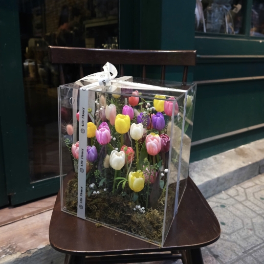 Hộp Hoa Tulip Thiết Kế - HH069