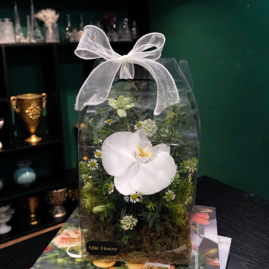 Hộp Hoa - HH074
