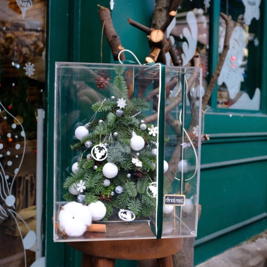 Christmas Tree Giftbox - CG06