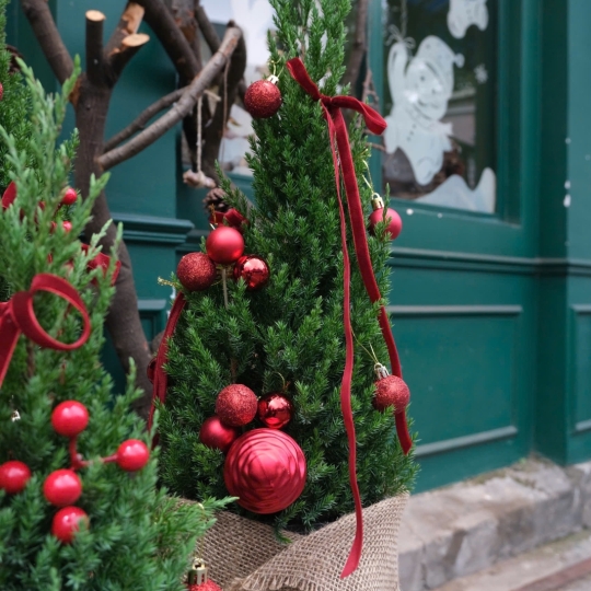 Christmas Tree CT034 - 60cm