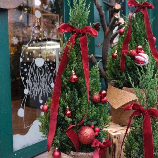 Christmas Tree CT035 - 70cm